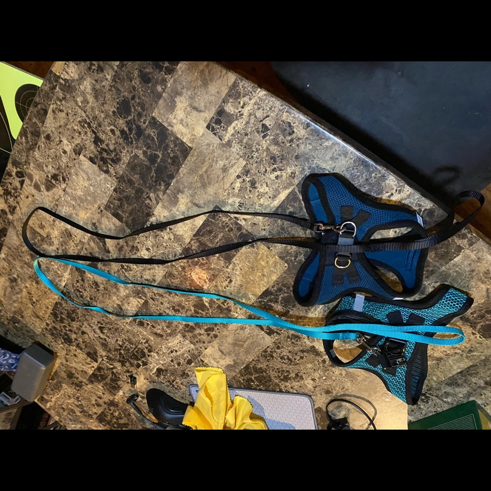 Small & Medium Cat / Dog Voyager Harness and Leash